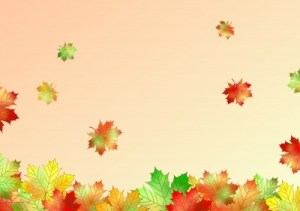 %22Autumn Maple Leaves%22 by oana roxana birtea